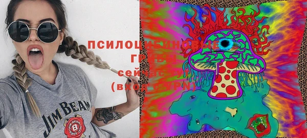 не бодяженный Осташков