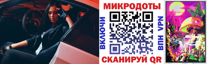 наркошоп  Суздаль  Галлюциногенные грибы Psilocybine cubensis 