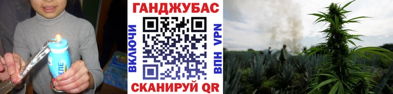 наркотики  Суздаль  Бошки марихуана Bruce Banner 